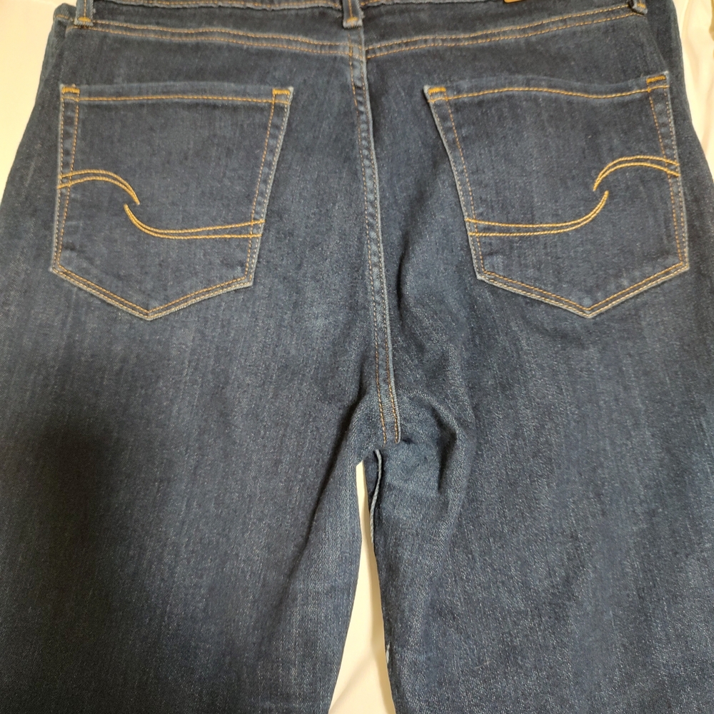 Signature by Levi Strauss Blue Skinny Jeans